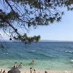 Taras * 斯普利特