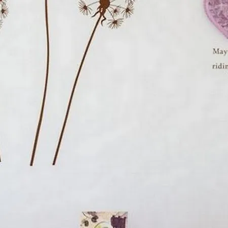 Taras * スプリト