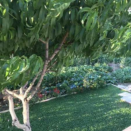 Taras アパート スプリト