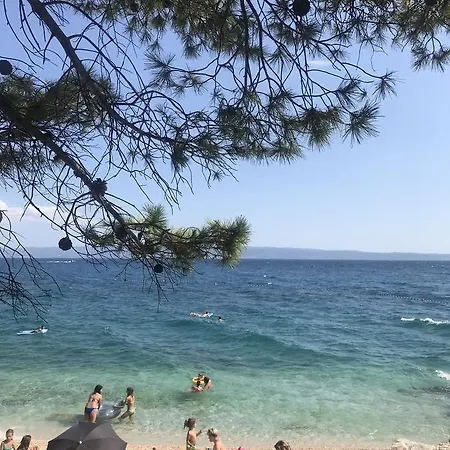 Taras * スプリト