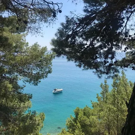 Taras *