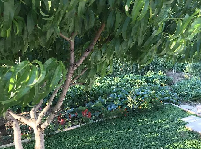 Taras דירה ספליט